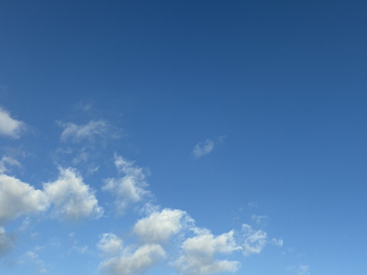 mk2_takeshi's tweet image. 7月25日(金)大阪27℃🌤️
おはようございます𓈒𓏸𓂃🌱
金曜日です
今日のお天気は晴時々曇🌤️
最高気温は35℃の予報です
キンキンキラキラ金曜日🤩
皆さんにとって素敵な一日になりますように✨
皆さんの優しい繋がりに感謝です🍀
今日も良い一日を𓂃𓈒𓏸♫
#イマソラ