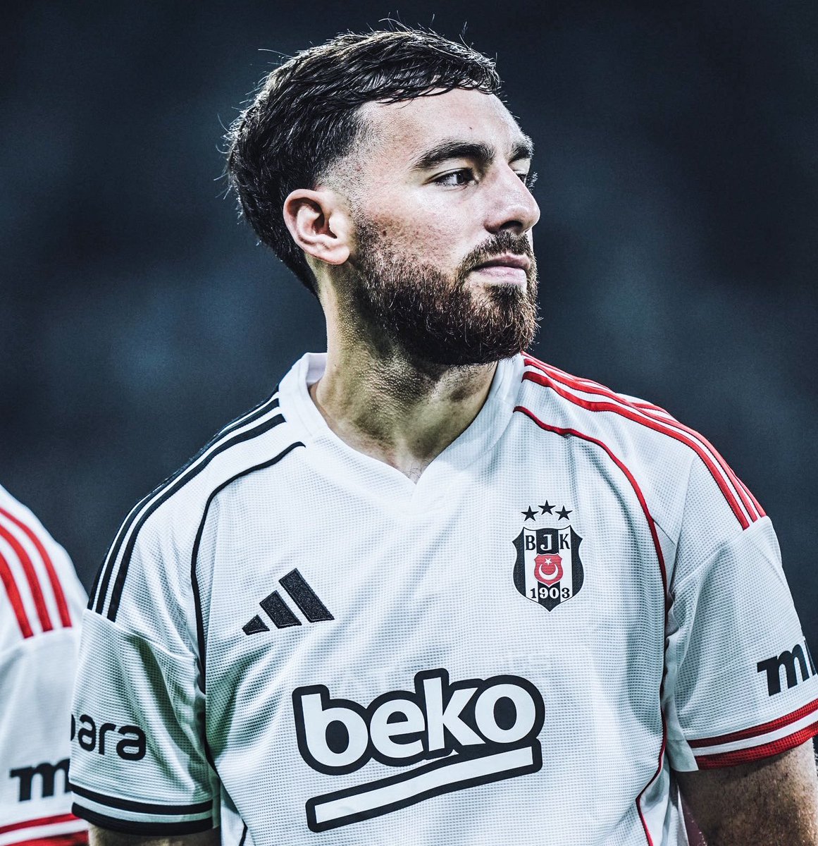 Renkliler kuduz köpek gibi saldırmaya başlamış.
Bizde size yedirecek topçu yok.