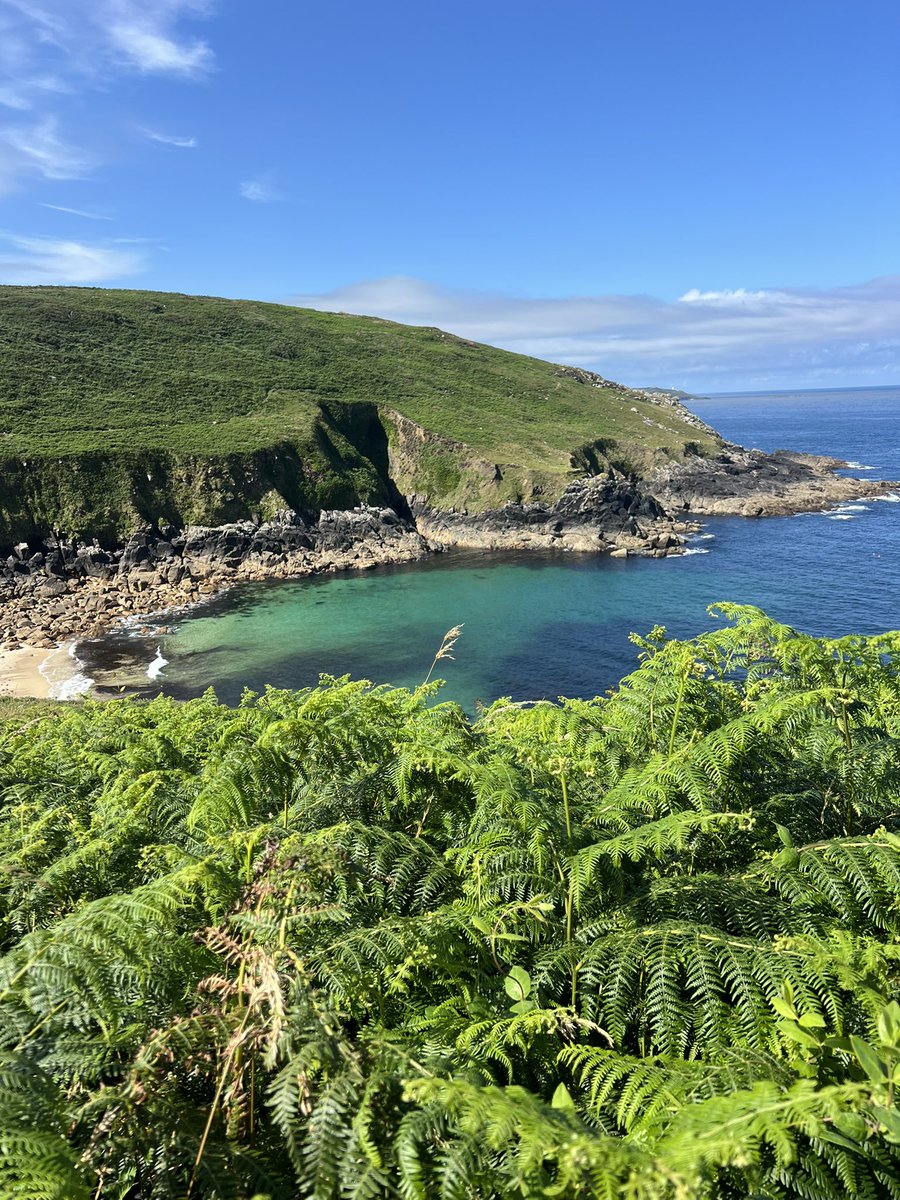 BackInTheBurg's tweet image. Day 2: ~10 mi 🥾 from Gurnard’s Head —> St. Just🇬🇧. ~19 miles down, ~23 miles to go. The #UK coast has not disappointed 🙏🤯. Stay active my friends… 🥾 #SouthwestCoastPath