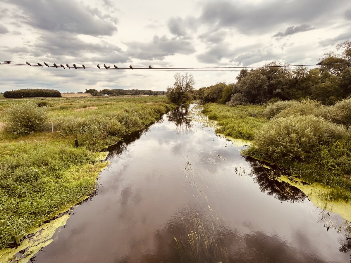 DanielArtm's tweet photo. Der Fluss #Krzna, ein linker Zufluss des #Bug, nahe der Ortschaft Malowa Góra nordwestlich von #Terespol https://t.co/VKqxbNhbSJ