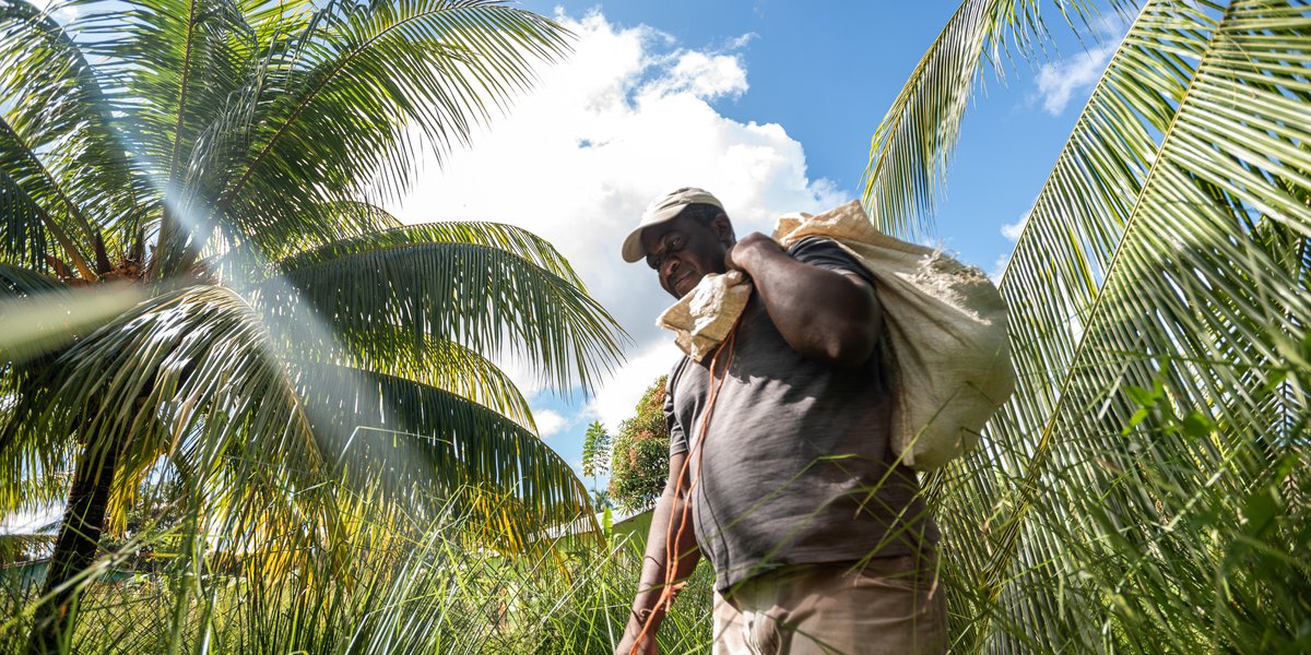🐢 In Honduras, protecting turtle populations isn’t just about conservation—it’s about food security. Turtles help maintain healthy marine ecosystems that support fisheries local communities depend on. That's why Don Juvencio, a Fish Forever Champion and "Conservation Captain of