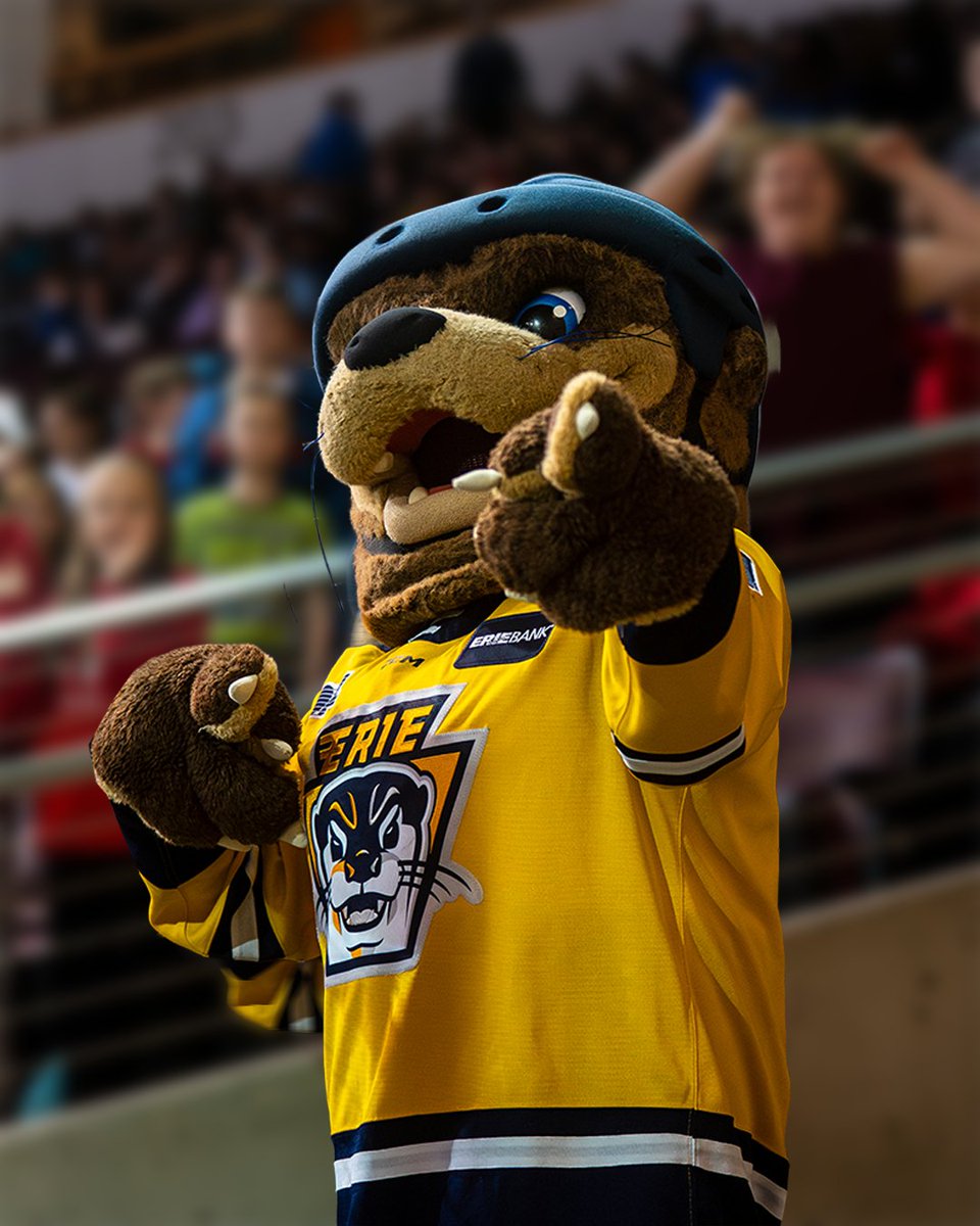 🦦 We're on the hunt... for the next Otto! 🦦 

Do you have the energy, creativity, and moves to bring our mascot to life? The Erie Otters are hiring a new mascot performer for the 2025–26 season! 🦦💥

📩 Email: haleigh.giebel@ottershockey.com

#ErieOtters #OttersHockey