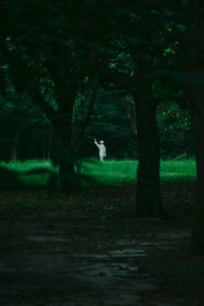 shintake_photo's tweet image. Fragments of Life