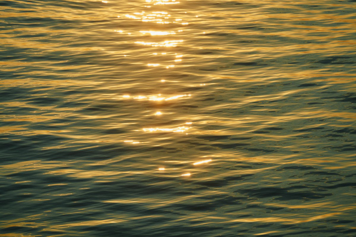 shintake_photo's tweet image. Fragments of Life