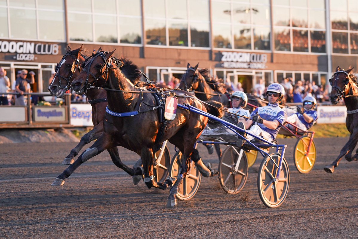 🚨 SVENSKT REKORD! 🚨

BULLET THE BLUESKY &amp; Daniel Wäjersten vinner MittOljor Norrlands GP – Assar Engbloms lopp – på makalösa 10,3/2140a! 💥💪

Grattis Stall SoFo, uppfödare Top Of Europe &amp; skötare Carola Eklund! 🌟
#trav #bergsåker #rekord #norrlandsgrandprix