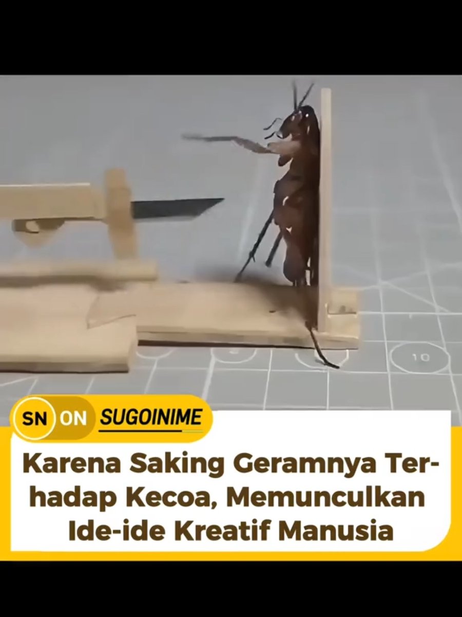 😂