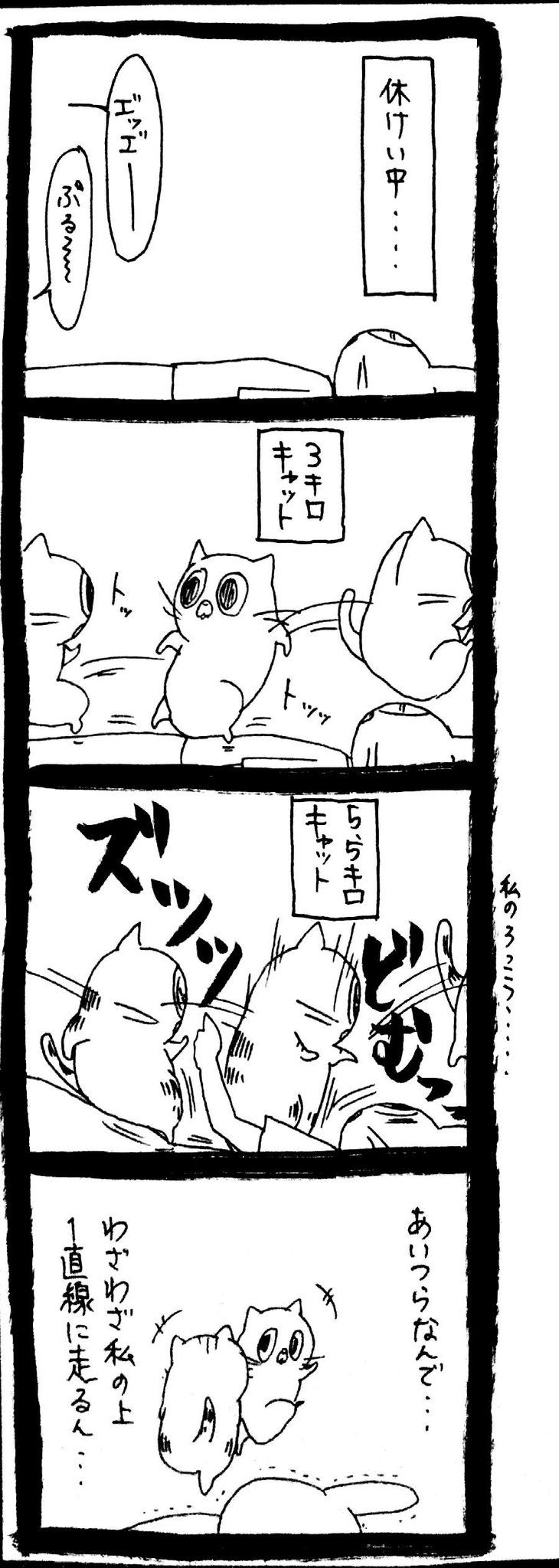 ちゃんみみページ うさぎのみみちゃん😇9/7コミティアC46a on X: 