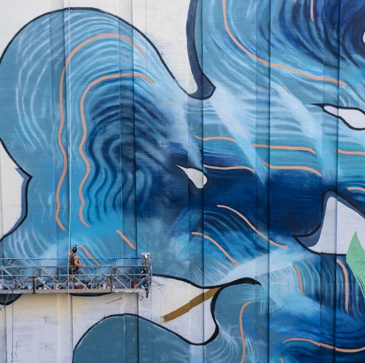 Street Art for Mankind tweet media