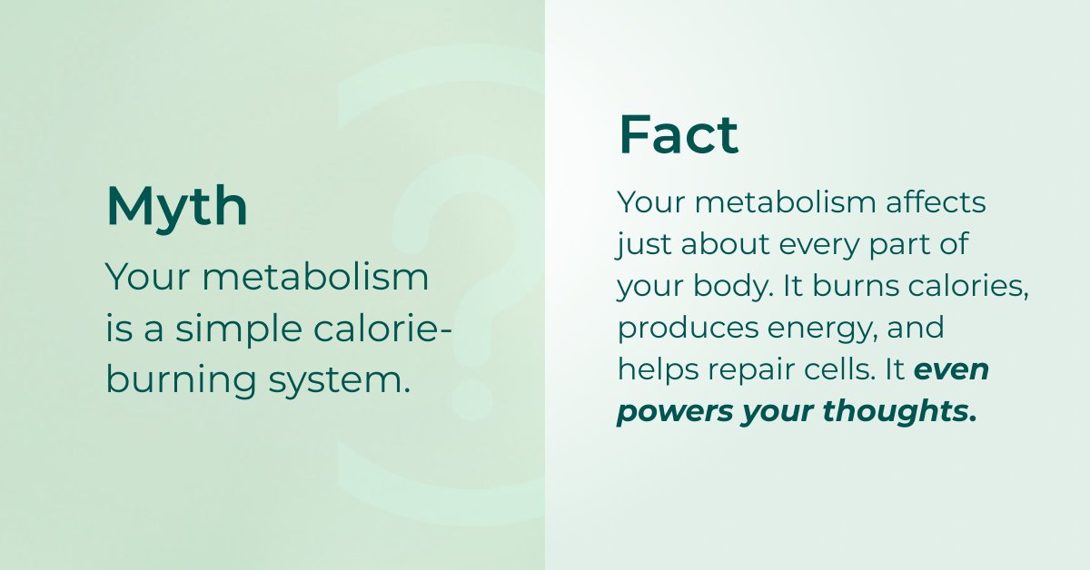 InsideTracker's tweet image. Your metabolism does more than you think. Sure, it burns calories. But your #metabolism is also the hidden force behind your energy, cellular repair, and even your thoughts. 

Here's #howto #optimize your metabolism: hubs.li/Q03ydPpw0