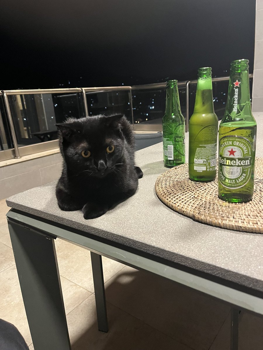 My drinking buddy obi