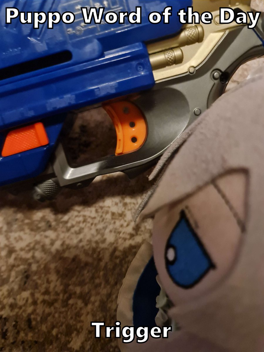 PuppoWOTD's tweet image. 