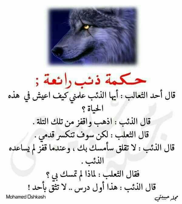 لا تثق فى أحد ثقة مطلقة حتى لو كان أقرب الناس إليك.