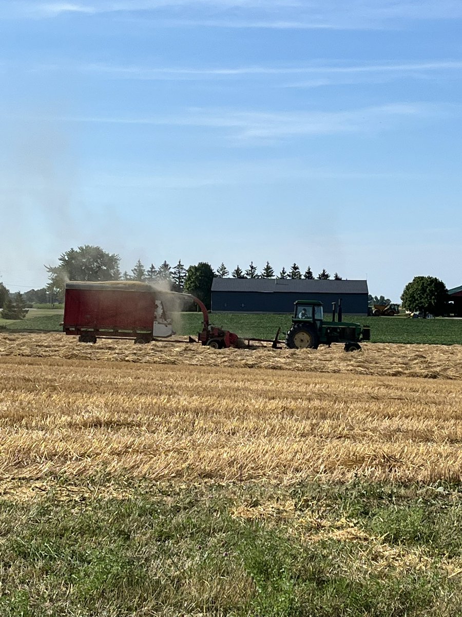 Wheats off and straw is in!