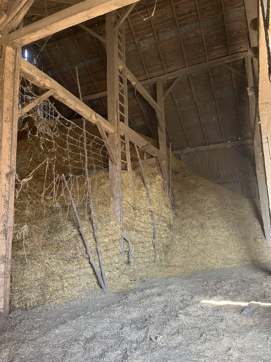 Kristen Thompson-Dow tweet media