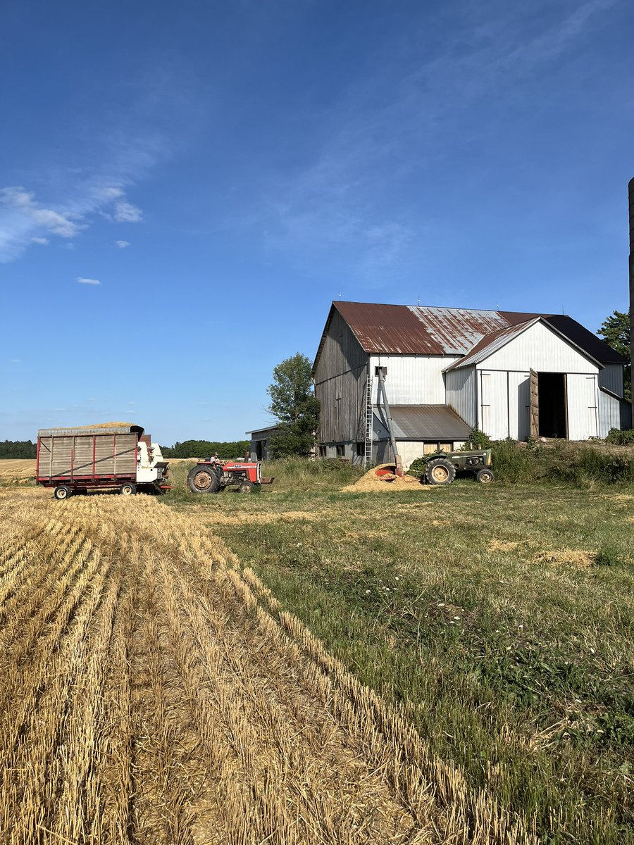 Kristen Thompson-Dow tweet media