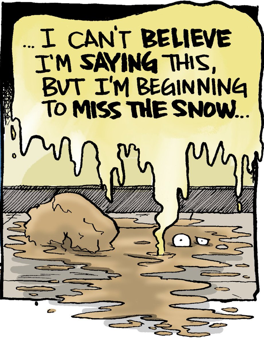 Same, Bob. 🥵

Bob the Squirrel, 🔗: tinyurl.com/mrybsuuk
