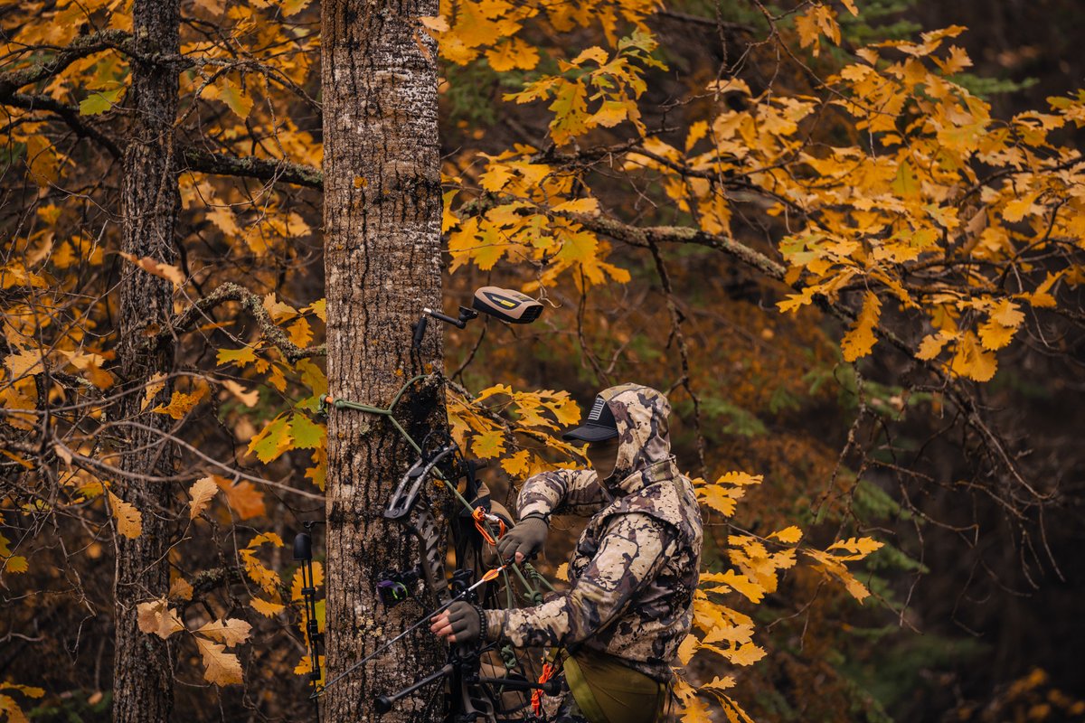 Silence from above..

#ozoncis #ozonicshunting #bowhunting #saddlehunting #hr500