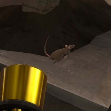 Locar1111's tweet image. TF2 sewer rats my beloved