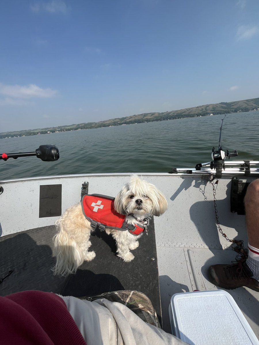 regina_grandma's tweet photo. Great day in Pasqua Lake, SK fishing followed by Ice cream at the MiniGolf. Caught and released 18 Walleye. #PasquaLake https://t.co/wWr3YZ2dyx