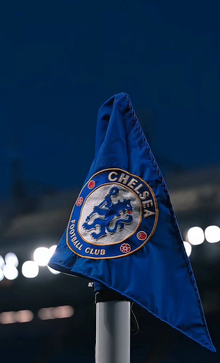 سنيور tweet media