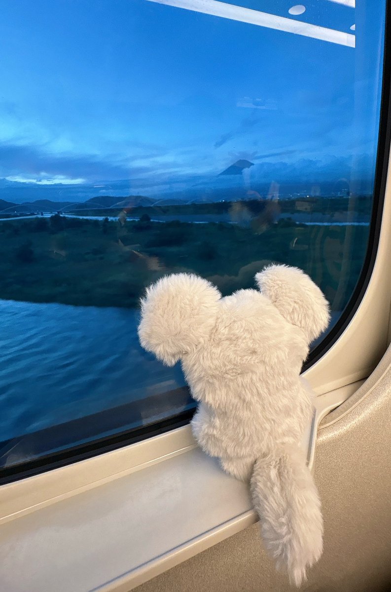 nui_time's tweet image. #みんなのぬいの後ろ姿見せて