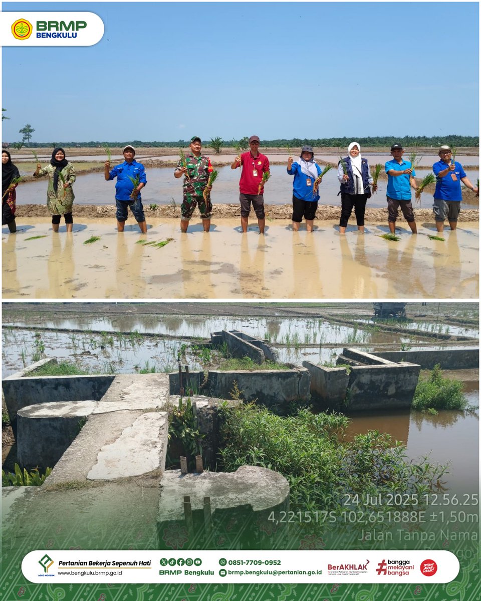 Brmp_Bengkulu's tweet image. #SapaMalam #FrenSIP

Tim BRMP Bengkulu Lakukan Percepatan Gerakan Tanam di Kabupaten Seluma

#brmpuntukindonesia 
#agromodern
#brmpkementan
#kitapastilebihbaik
#pertanianmajumandirimodern
#jagapanganbiaraman
#swasembadapangan
#luastambahtanam
#pertanianbekerjasepenuhhati