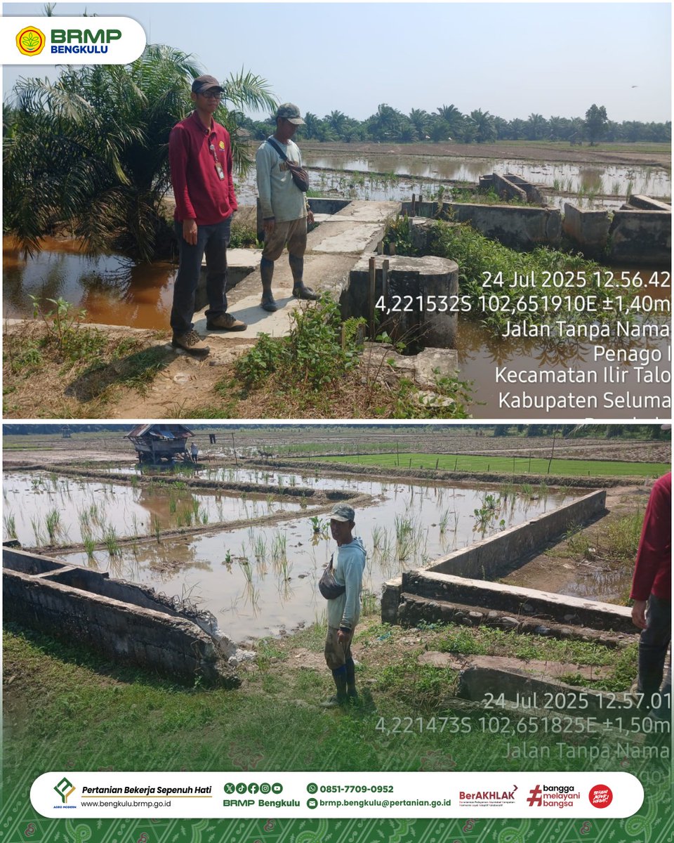 Brmp_Bengkulu's tweet image. #SapaMalam #FrenSIP

Tim BRMP Bengkulu Lakukan Percepatan Gerakan Tanam di Kabupaten Seluma

#brmpuntukindonesia 
#agromodern
#brmpkementan
#kitapastilebihbaik
#pertanianmajumandirimodern
#jagapanganbiaraman
#swasembadapangan
#luastambahtanam
#pertanianbekerjasepenuhhati