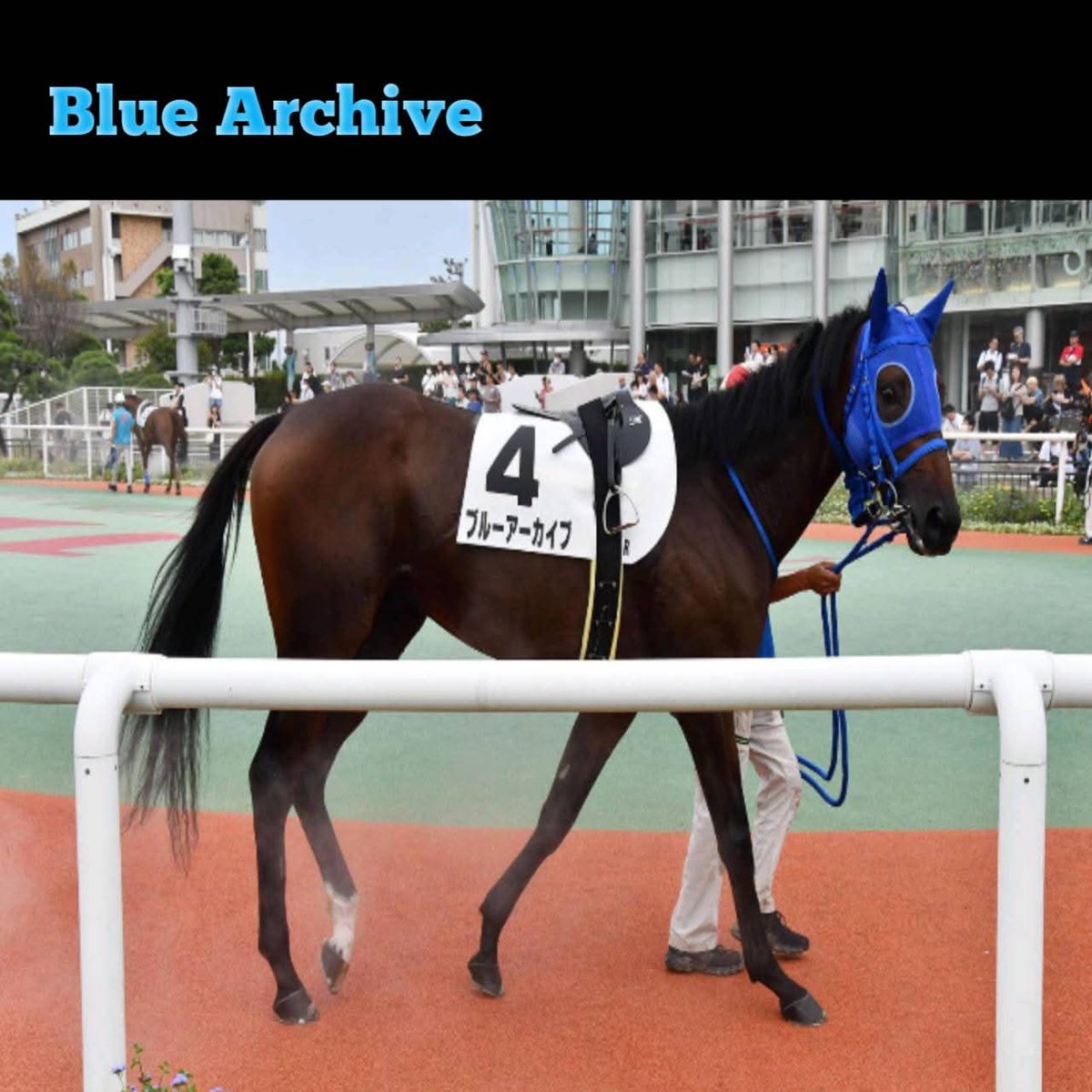 ChosoRokuhira's tweet image. I hope Cygames add these horses in Umamusume Pretty Derby in the future 🐎🐎🐎