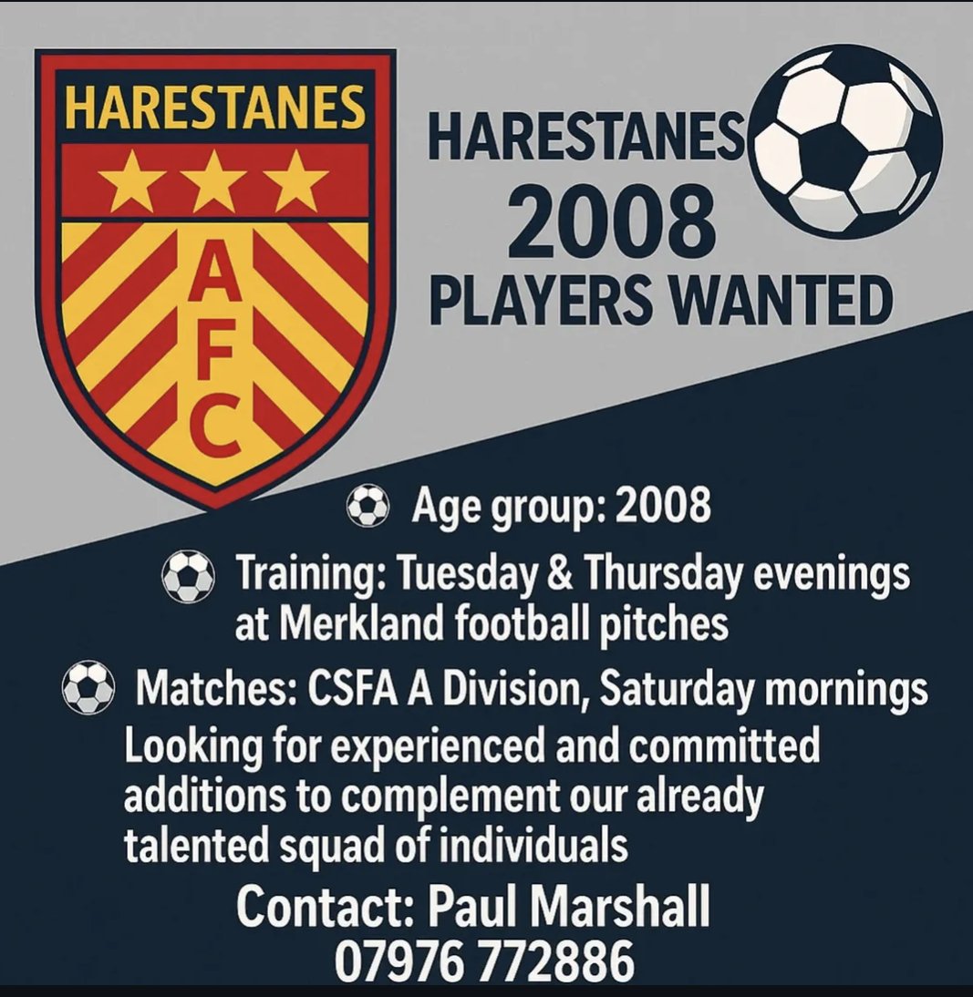 HarestanesF's tweet photo. Still looking for players of a good quality to join our already talented squad. If interested give us a shout.

Retweets would be appreciated 👍🏻 https://t.co/VuXjyjrEjU