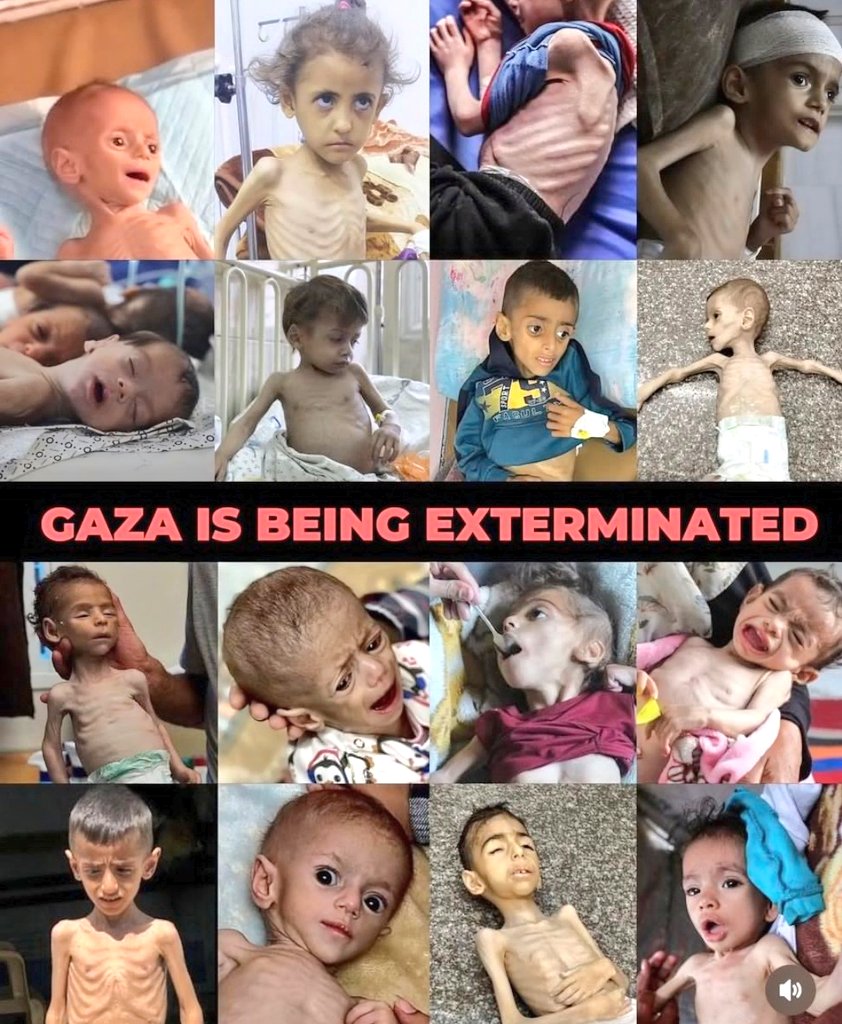 BahiaAkram's tweet image. Children in Gaza no longer cry — hunger stole their voices.😣
Their eyes plead, their bones scream silently.
This is not weakness… this is extermination.
Don’t wait for them to die — act now💔😭
chuffed.org/project/138245