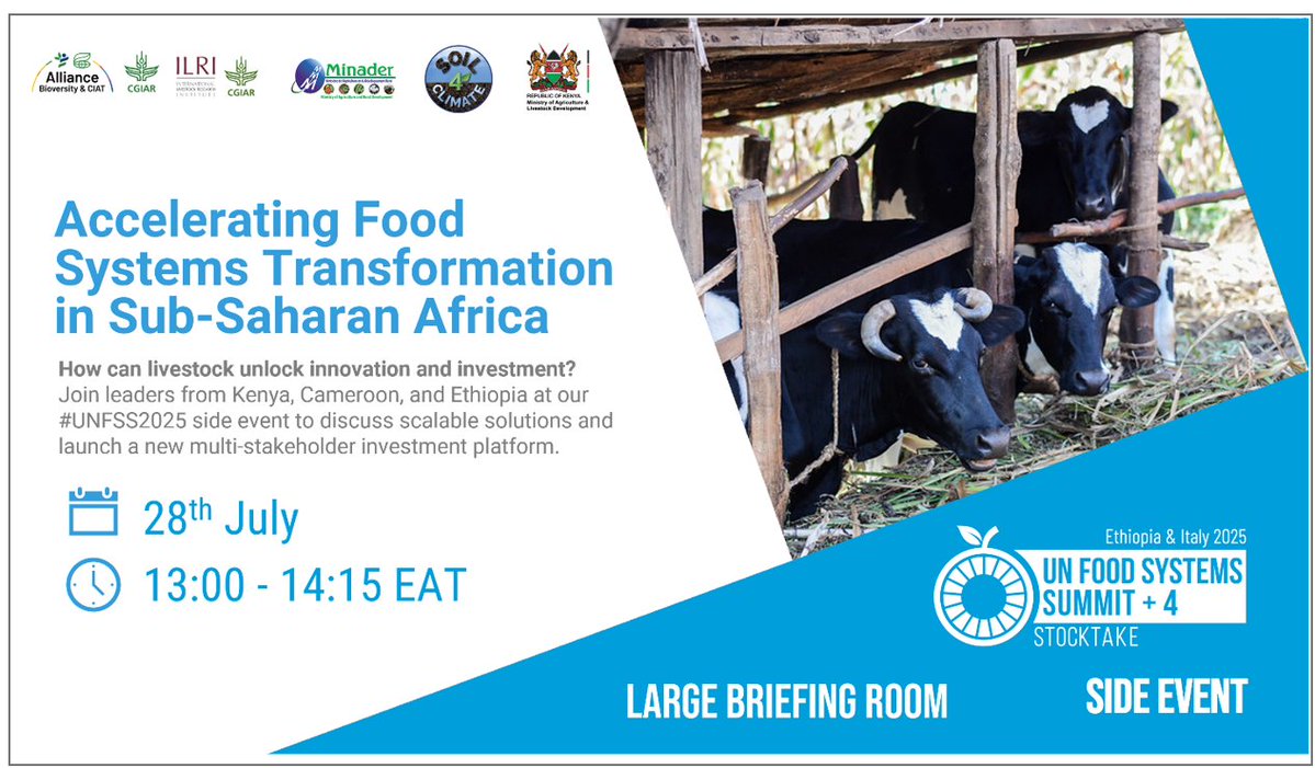 FIL_IDF's tweet image. Join #UNFSS2025, Addis Ababa for a sideevent: #livestock can drive #FoodSystems transformation in #SubSaharanAfrica thru #landrestoration & #investment solutions. 28 July | 📍 UNCC Addis🔗 bit.ly/3IHNSCM Led by @kilimoKE @MinAgriCm, @BiovIntCIAT_eng @ILRI @GSLC_Livestock
