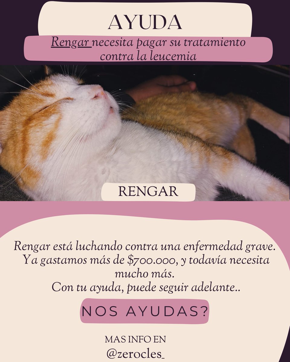 Buenas Como ya les había contado, necesitamos juntar plata para pagar el tratamiento de Rengar
Hace dos semanas le diagnosticaron leucemia y el tratamiento es muy costoso, gracias a las donaciones que hemos recibido, pudimos ir pagando algunas consultas y otros gastos

Den RT 🧡