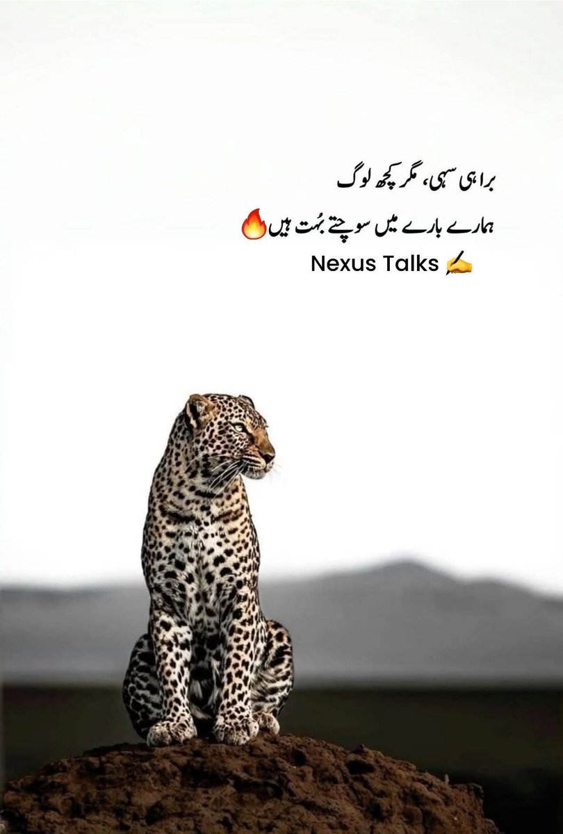 Meharsultan176's tweet image. خوش ہوں میں دل کی آخری بازی بھی ہار کر
اب اس کے بعد میری کوئی مات نہیں ہے
#اردو_زبان