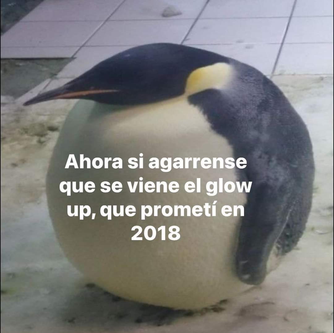 Adri tweet media