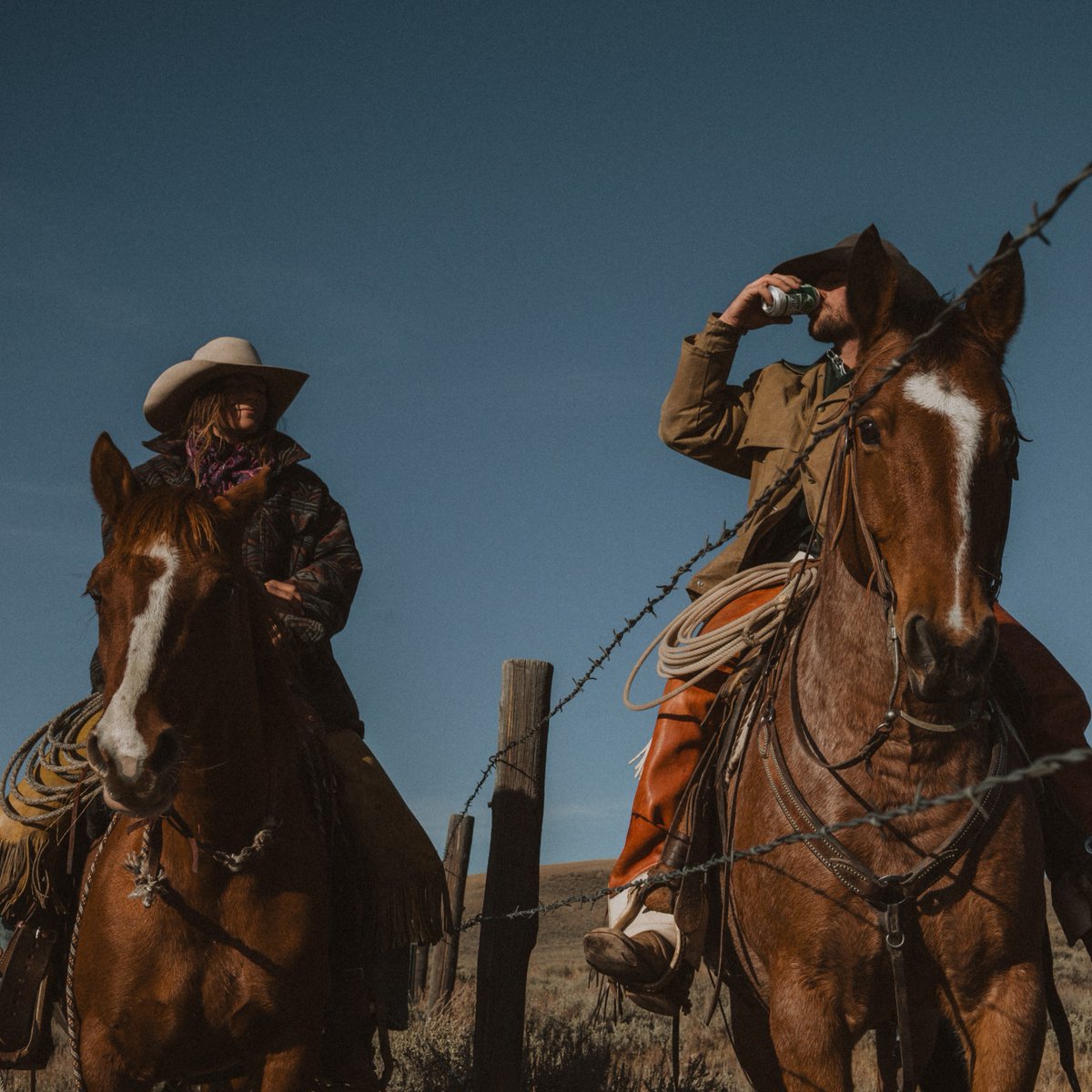 SipHowdy's tweet photo. Ride into the weekend with a cold one in your hand and zero hangovers. Welcome to HOWDY Country. https://t.co/Kuqa1Pah8Y