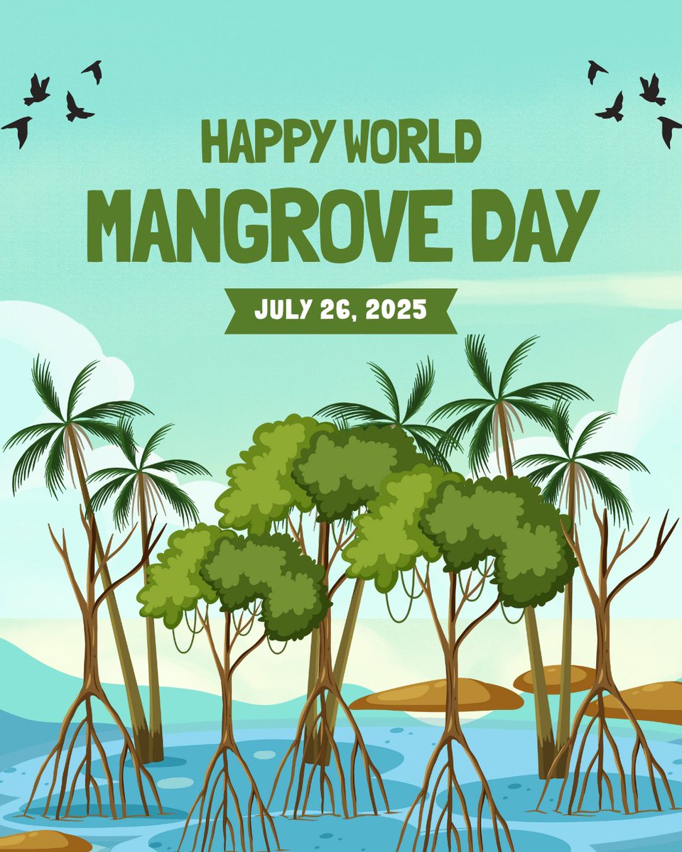 SpringbayStudio's tweet image. 🌿 Mangroves matter — and so does the way we teach them.
This #MangroveDay, give students the tools to explore and protect these vital ecosystems with iBiome Wetland — our multi-award winning app where learning meets conservation. 🌎📲
🧠 Download Today: apple.co/3IJL4oK