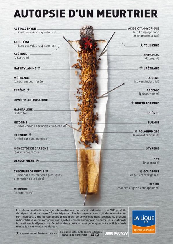 Journaliste-De source sûr! (@yvon_marche) on Twitter photo 