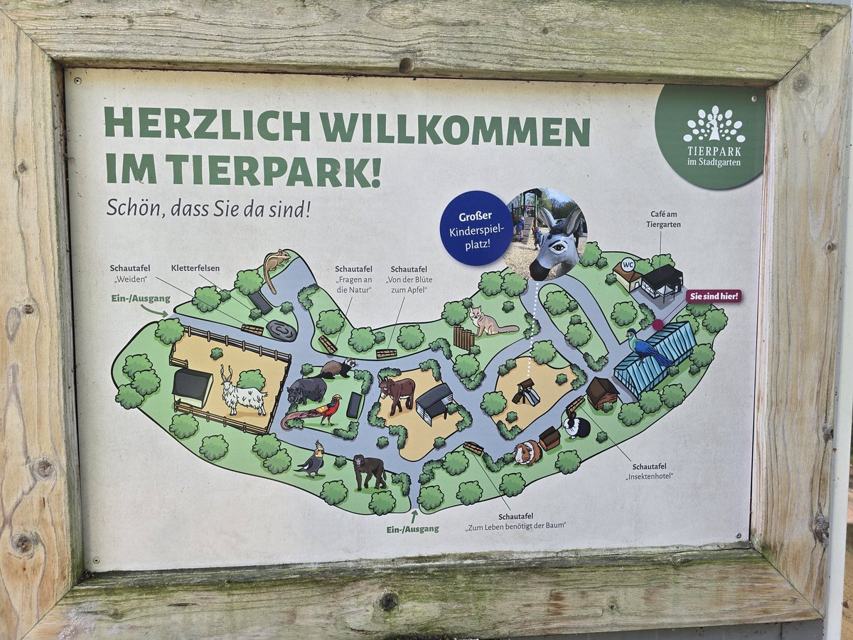 FreetimeAdventu's tweet photo. Tierpark Recklinghausen
------------------
#recklinghausen #tierpark #spazieren #heimat #Tiere  #himmelblau #natur #freetimeadventure #zoo  #landschaft  #childhood #sommer #animals #photooftheday #photography #photographer #stadtgarten
#Zoo #zoodortmund #dsw21 https://t.co/xhD0HOX9Ox