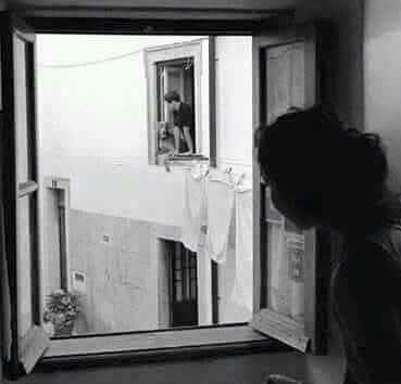 linomarino48766's tweet image. My eyes only see you,
My mouth asks your kisses
You miss my heart that only beats for you you remember why we fell in love?
Do you remember why it was so strong between us?
Because I was able to see in you things that others ignored.
And it was the same for you .Beautiful evening