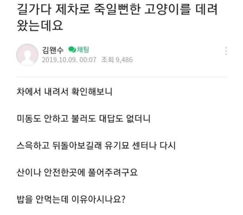 wh3r3ar3w3's tweet image. 작성자: 송왠수
고양이: 또냥희