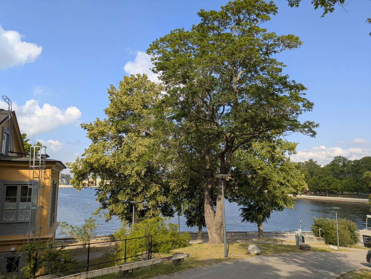 nowhere1237's tweet image. 