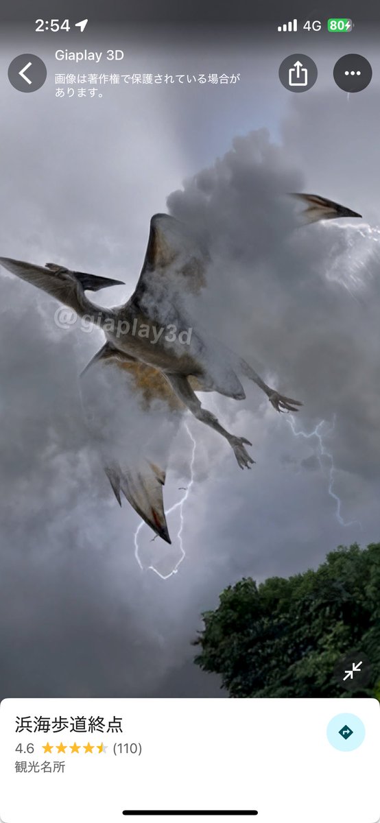 Google mapsで矢印の四角をタップしてスクロールしたら恐竜がおる‼️