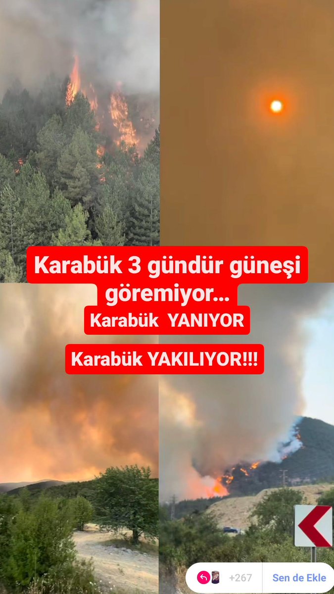NOĞLUR SESİMİZİ DUYUN 3 GÜNDÜR GÜNEŞİ GÖREMİYORUZ. YANIYORUZ NEFES ALAMIYORUZ SESİMİZ OLUN LÜTFEN #karabükyanıyor #karabük #ormanyangını #yangın