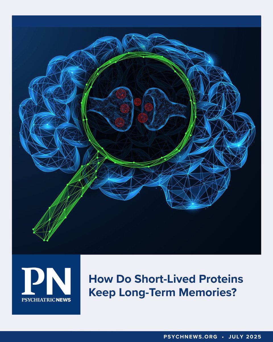 PsychiatricNews's tweet image. A protein known as KIBRA may be the crucial ingredient for maintaining the stability of neuronal synapses charged with storing a memory for years or even decades. ow.ly/bM2L50WiIjv