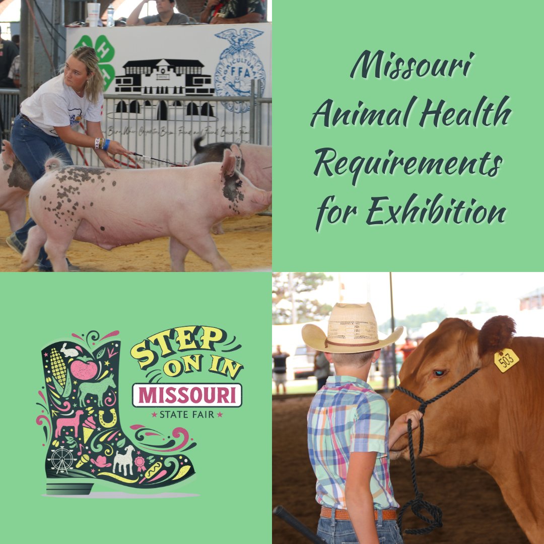 If you're planning to show livestock at the Missouri State Fair, make sure you're familiar with the animal health requirements for exhibition in Missouri. 👇 agriculture.mo.gov/animals/rules.…

#ConnectMORE