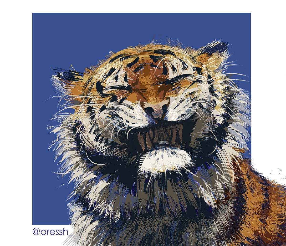 tiger #study