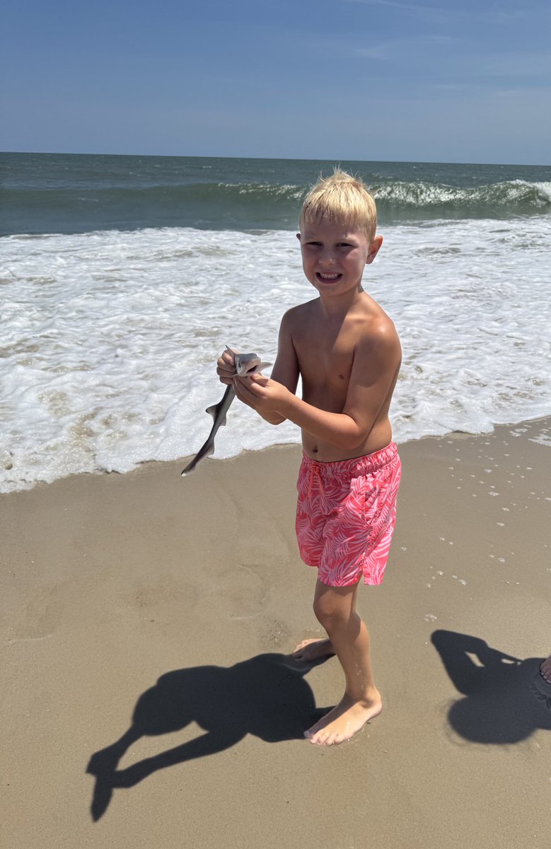 Coach_Trate's tweet image. Shark Week
