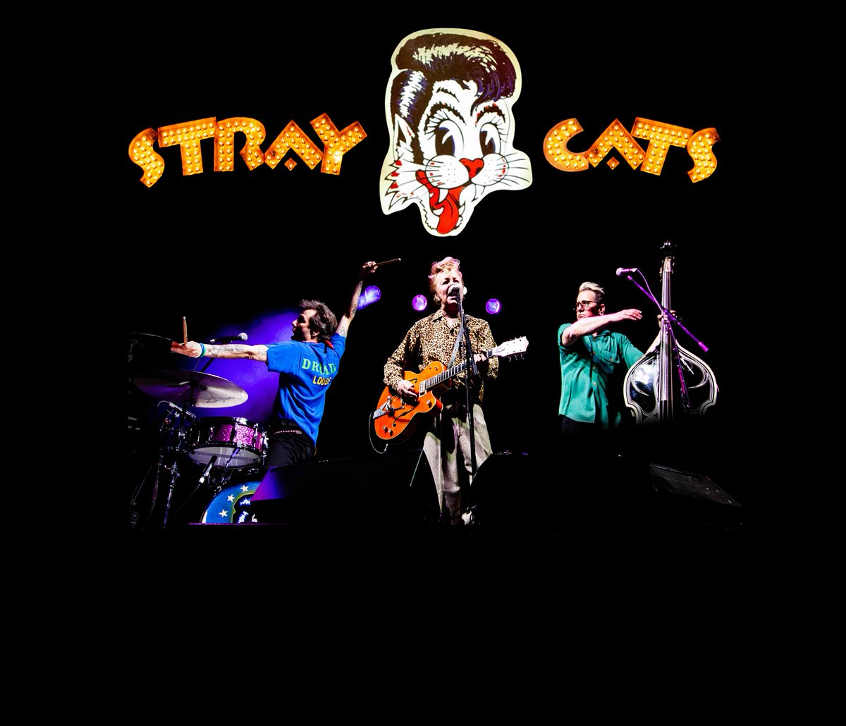 thestraycats's tweet image. BIG ANNOUNCEMENT coming Monday! Sign up for the Stray Cats newsletter to be the first to know. orcd.co/stray-cats