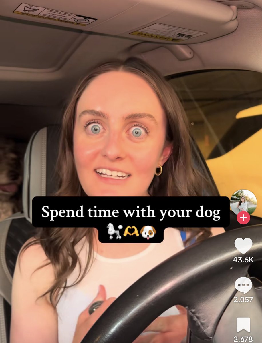 SummrWrites's tweet image. It’s always in the eyes.
This was a long video about how important it is to socialize your dog with other dogs, no matter what it costs you personally.