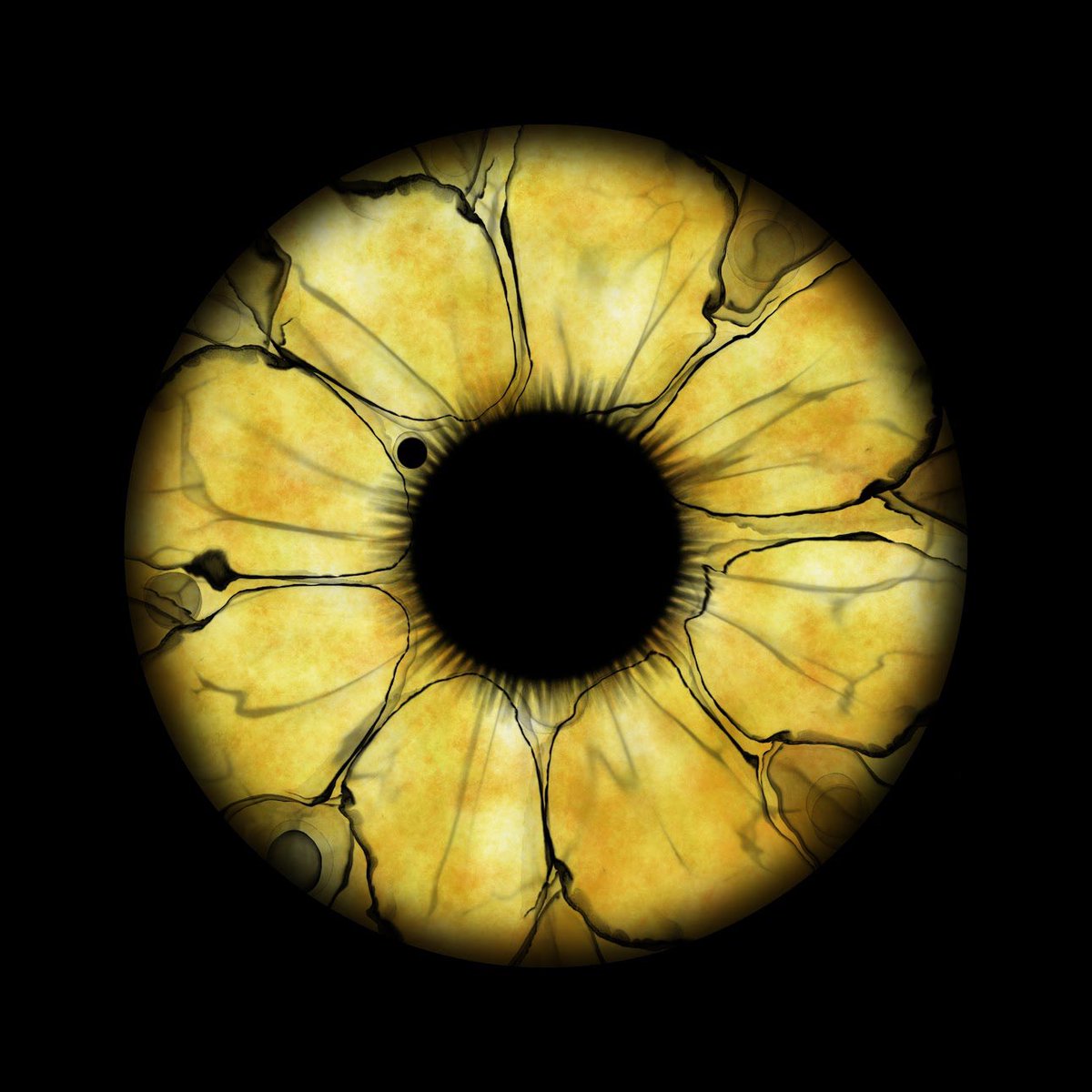 ⚡ “The Shattering Light”
A vision on the verge of breaking free —
golden, cracked, and radiant.

✦ 10 editions
✦ Not AI

→ rarible.com/token/polygon/…

#NFTArt #PolygonNFT #DigitalArt #EyeArt #TheEyeArtGallery